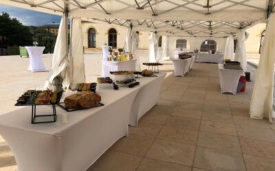 Organisation de repas d’entreprise dans les Vosges : étapes clés pour un événement réussi et mémorable